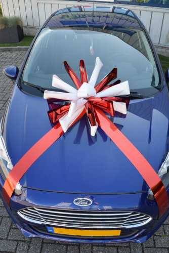 Magnum Bows Autoschleife Maxi Doppelt Farbe d60x105cm