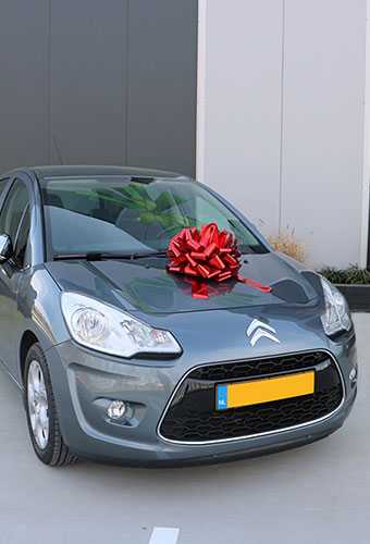 Autoschleife XL Padova Metallic Rot d40+22cm Höhe 28cm