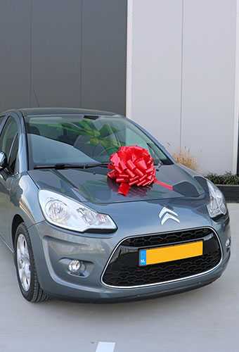 Autoschleife XL Padova Lack Rot d40+22cm Höhe 28cm