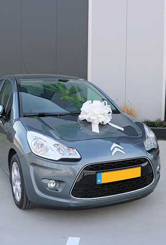 Autoschleife XL Padova Lack Weiss d40+22cm Höhe 28cm