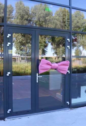 Mega Schleife SchleifeXL Altrosa 100x50cm & Grosser Saugnapf