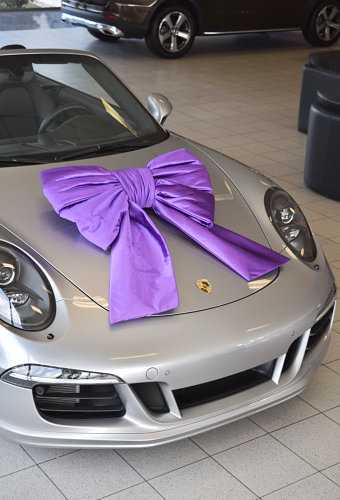 Autoschleifen Meg Doppelt Lucca Violett 120x50+55cm Saugnapf Band 25cm