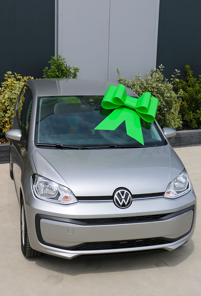 Autoschleifen Mega Toronto Grun 75x60cm