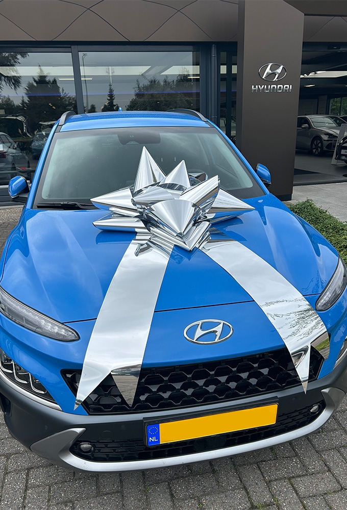 MegaSchleife Vienna metallische Silber 80cm Durschnitt.+80cm