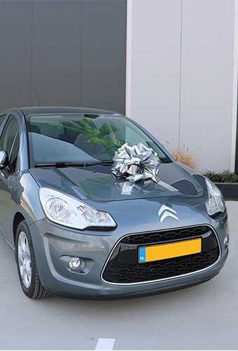 Autoschleife XL Padova Metallic Silber d40+22cm Höhe 28cm