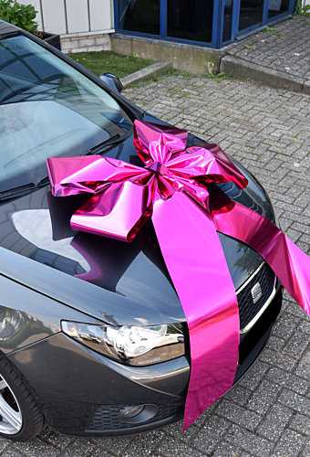 Autoschleifen Magnum Livorno Metallic Pink 90x60+70cm Autoschleife