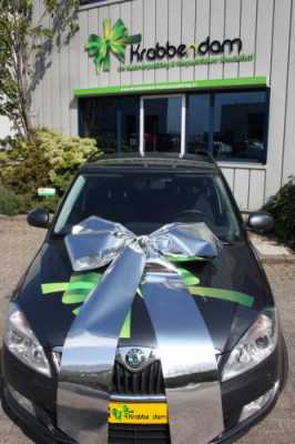 Autoschleifen Magnum Livorno Metallic Silber 90x60+70cm