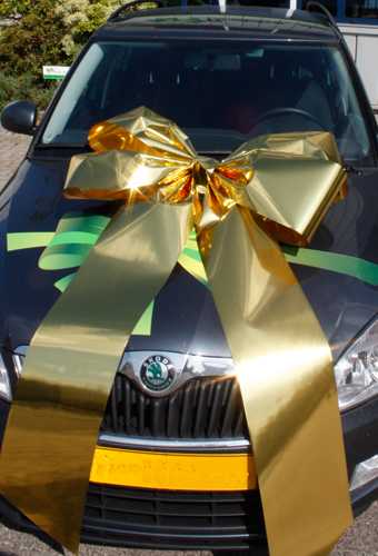 Autoschleifen Magnum Livorno Metallic Gold 90x60+70cm Autoschleife