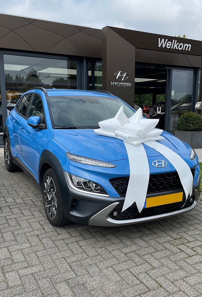 MegaSchleife Vienna Lack Weiss 80cm Durschnitt.+80cm