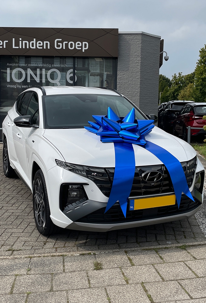 MegaSchleife Vienna metallische Blaue 80cm Durschnitt.+80cm