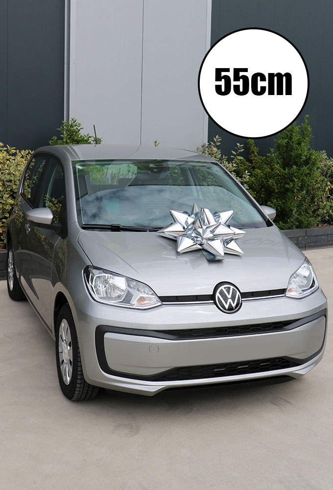 Autoschleifen Magnum Bows Bari Silber Metallic Band 10cm.