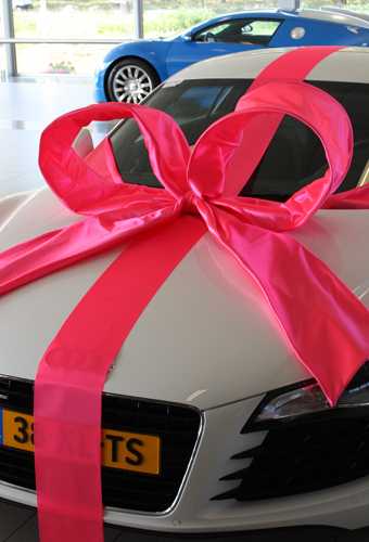 Autoschleifen Super Mega Salerno Pink 120x100x50cm