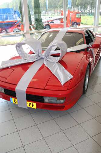 Autoschleifen Super Mega Salerno Silber 120x100x50cm