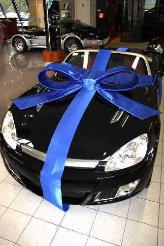 Autoschleifen Super Mega Salerno Blau 120x100x50cm