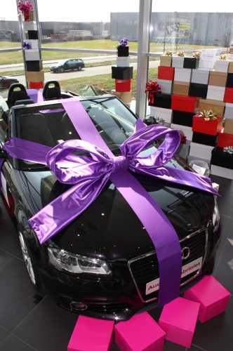 Autoschleifen Super Mega Salerno Violett 120x100x50cm