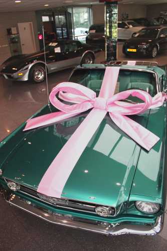 Autoschleifen Super Mega Salerno Rosa 120x100x50cm