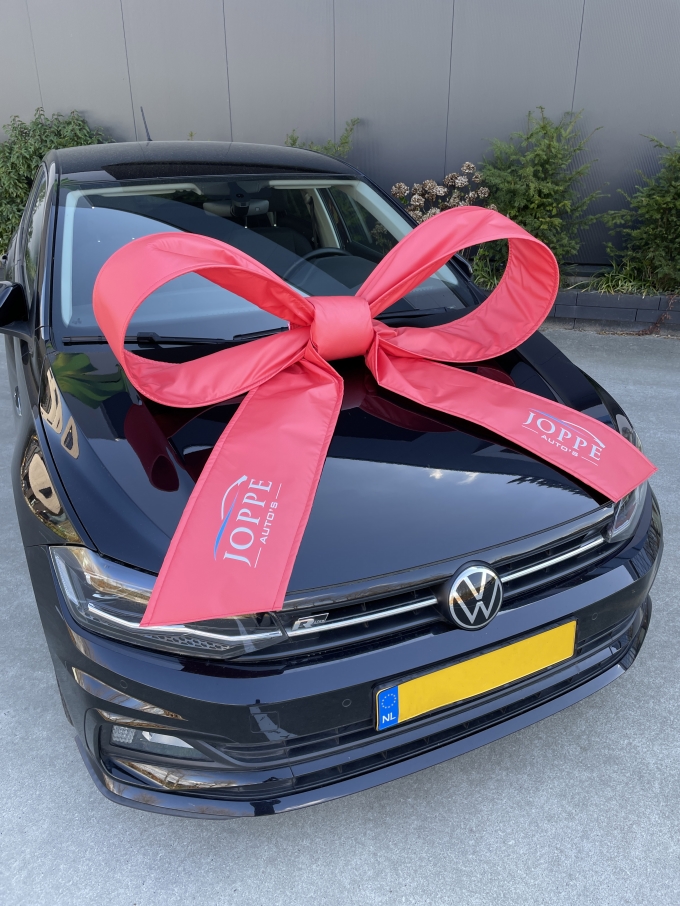 Autoschleifen Salerno LOGO 120x100x50cm mit Saugnapf