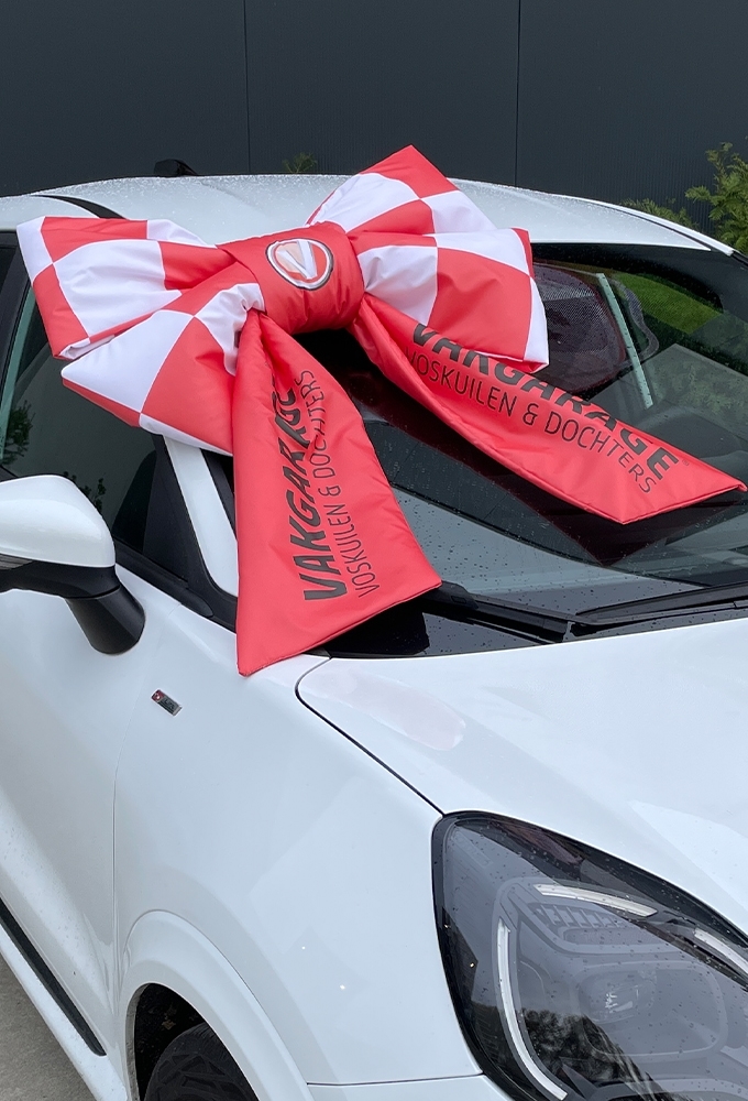 Megaschleife Doppelt LOGO Lucca 77x50+40cm & Saugnapf Band 25cm