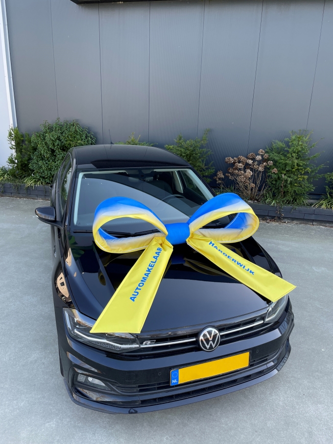 Autoschleifen Salerno LOGO 120x100x50cm Mit Saugnapf