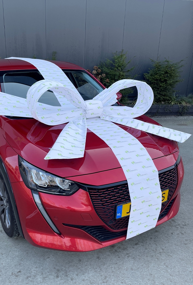 Autoschleifen Salerno LOGO 120x100x50cm Mit Band und Saugnapf