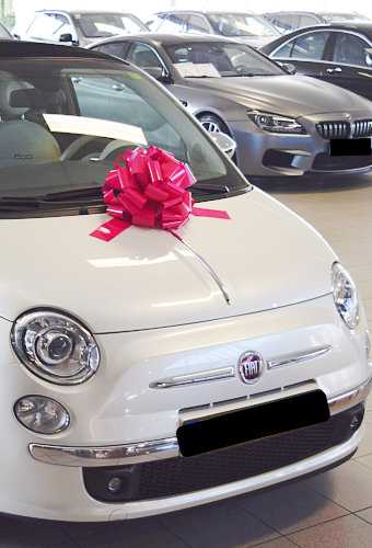 AKTION Autoschleife Grosse Padova Lack Rosa d35+17cm Höhe 22cm