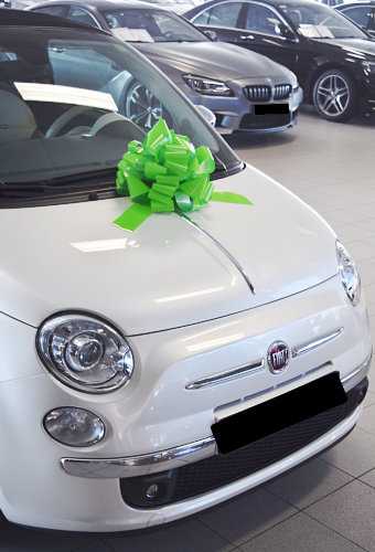 AKTION Autoschleife Grosse Padova Lack Grun d35+17cm Höhe 22cm