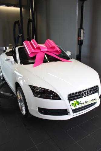 Autoschleifen Mega Toronto Fuchsia 86x103 cm.