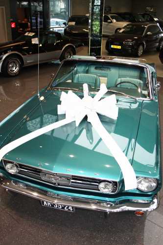 Magnum Bows Schleife Maxi Lack Weiss d60x105cm Autoschleife Hochzeit