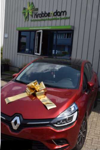 Autoschleifen Grosse Milaan Gold d36x36+24cm Schleife Für Aufs Auto