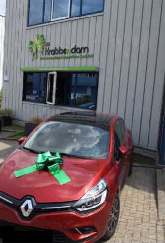 Autoschleifen Grosse Milaan Grun d36x36+24cm Schleife Für Aufs Auto