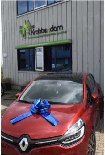 Autoschleifen Grosse Milaan Dunkel Blau d36x36+24cm Schleife Für Aufs 