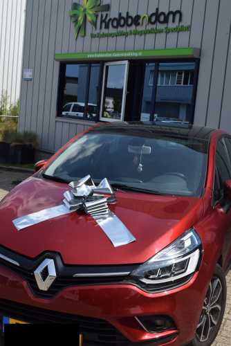 Autoschleifen Grosse Milaan Silber d36x36+24cm.Schleife Für Aufs Auto