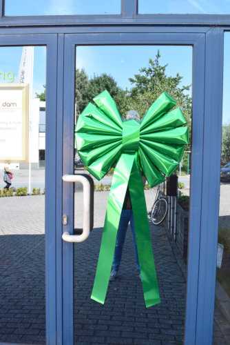 Magnum Bows Schleife Florence Metallic Grun 67x60+45cm