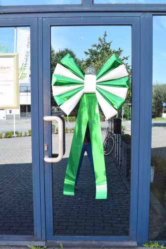 Magnum Bows Schleife Florence Metallic Grun & Weiss 67x60+45cm