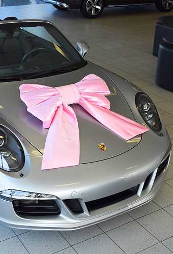 Autoschleifen Mega Doppelt Lucca Rosa 77x50+40cm & Saugnapf Band 25cm