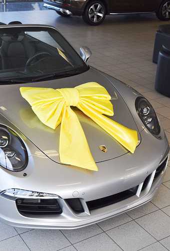 Autoschleifen Mega Doppelt Lucca Gelb 77x50+40cm & Saugnapf Band 25cm