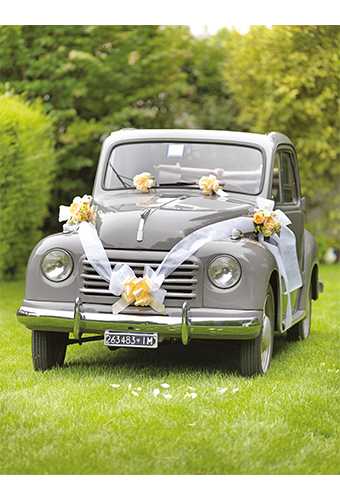 Hochzeits paket Für Auto mit Schleifen und Band creme 5-teilig