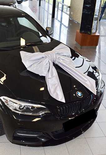 Autoschleifen Mega Doppelt Lucca Silber 77x50+40cm Saugnapf Band 25cm