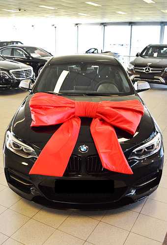 Autoschleifen Mega Doppelt Lucca Rot 120x50+55cm Saugnapf Band 25cm