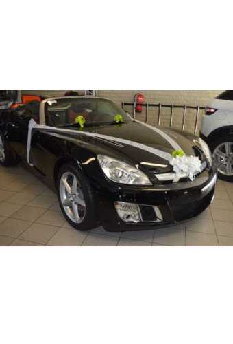 Hochzeits paket Für Auto mit Schleifen und Band weiss & Grun.