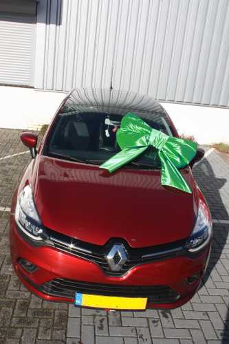 Autoschleifen Mega Doppelt Lucca Grun 77x50+40cm & Saugnapf Band 25cm